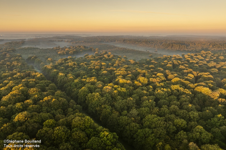 Lever de soleil sur la forêt de Crécy