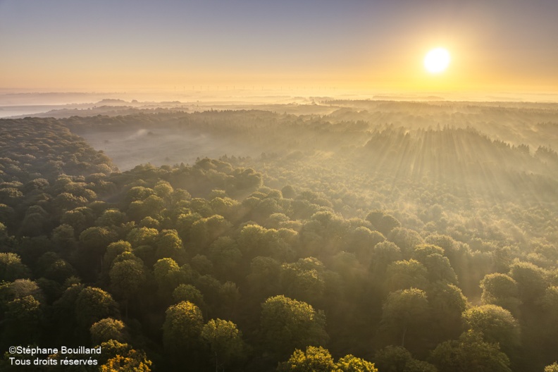 Lever de soleil sur la forêt de Crécy