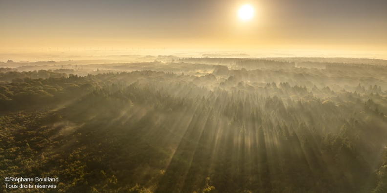 Lever de soleil sur la forêt de Crécy