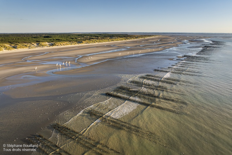 Les bouchots à Quend-Plage