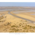 Entraînement de chevaux en baie de Somme