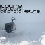 www rencontres cinema nature eu