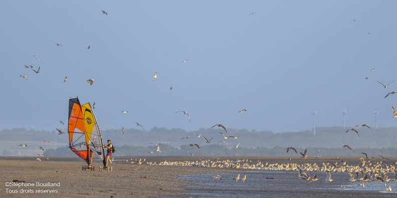 Speedsail sur la plage