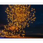 Feu d'artifice du 14 Juillet sur la plage de Fort-Mahon