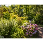 Le jardin du peintre André van Beek