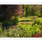 Le jardin du peintre André van Beek