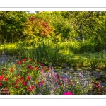 Le jardin du peintre André van Beek