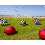 Festival des Cerfs-volants de Cayeux-sur-mer