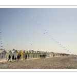 Festival des Cerfs-volants de Cayeux-sur-mer