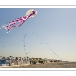 Festival des Cerfs-volants de Cayeux-sur-mer