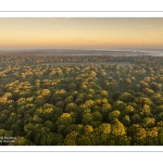 Lever de soleil sur la forêt de Crécy