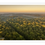 Lever de soleil sur la forêt de Crécy