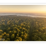 Lever de soleil sur la forêt de Crécy