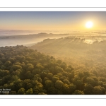 Lever de soleil sur la forêt de Crécy