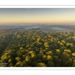 Lever de soleil sur la forêt de Crécy