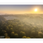 Lever de soleil sur la forêt de Crécy