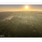 Lever de soleil sur la forêt de Crécy