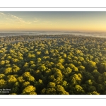 Lever de soleil sur la forêt de Crécy