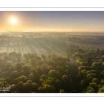 Lever de soleil sur la forêt de Crécy