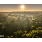 Lever de soleil sur la forêt de Crécy