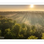 Lever de soleil sur la forêt de Crécy