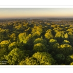 Lever de soleil sur la forêt de Crécy