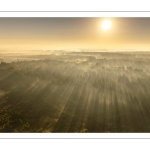 Lever de soleil sur la forêt de Crécy