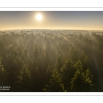 Lever de soleil sur la forêt de Crécy