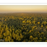 Arrivée de l'automne en forêt de Crécy