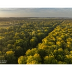 Arrivée de l'automne en forêt de Crécy