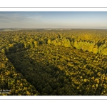 Arrivée de l'automne en forêt de Crécy