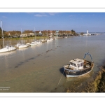 Grandes marées en baie de Somme - Coeff 111