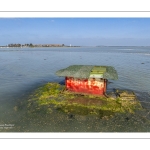 Grandes marées en baie de Somme - Coeff 111