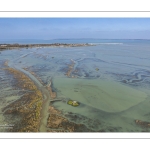 Grandes marées en baie de Somme - Coeff 111