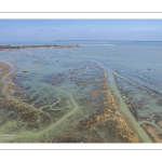 Grandes marées en baie de Somme - Coeff 111