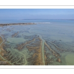 Grandes marées en baie de Somme - Coeff 111