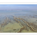 Grandes marées en baie de Somme - Coeff 111