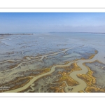 Grandes marées en baie de Somme - Coeff 111