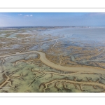 Grandes marées en baie de Somme - Coeff 111