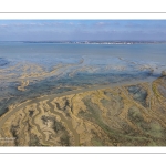 Grandes marées en baie de Somme - Coeff 111