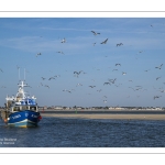 Retour des pêcheurs au port du Hourdel