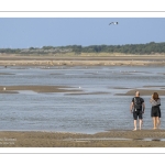 Les grands espaces de la Baie de Somme