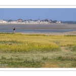 Les grands espaces de la Baie de Somme