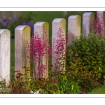 Le cimetière chinois de Nolette