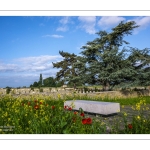 Le cimetière chinois de Nolette