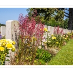 cimetière chinois de Nolette