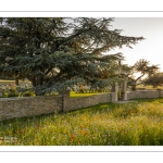 Cimetière chinois de Nolette