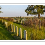 Cimetière chinois de Nolette