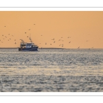 Le retour des pêcheurs au port du Hourdel