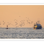 Le retour des pêcheurs au port du Hourdel